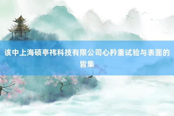 该中上海硕亭祎科技有限公司心矜重试验与表面的皆集